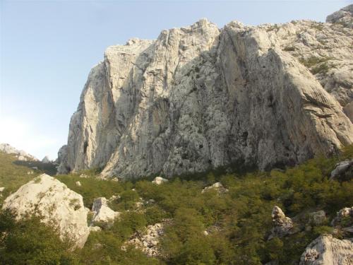 PICT0253.jpg