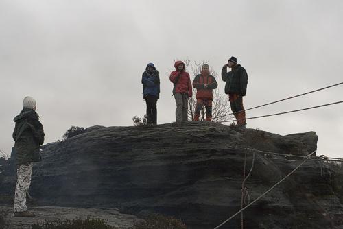 IMG_2630.jpg