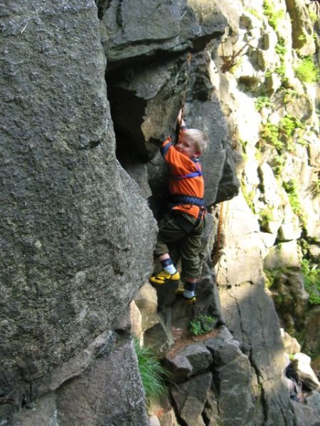 Čtyři palice