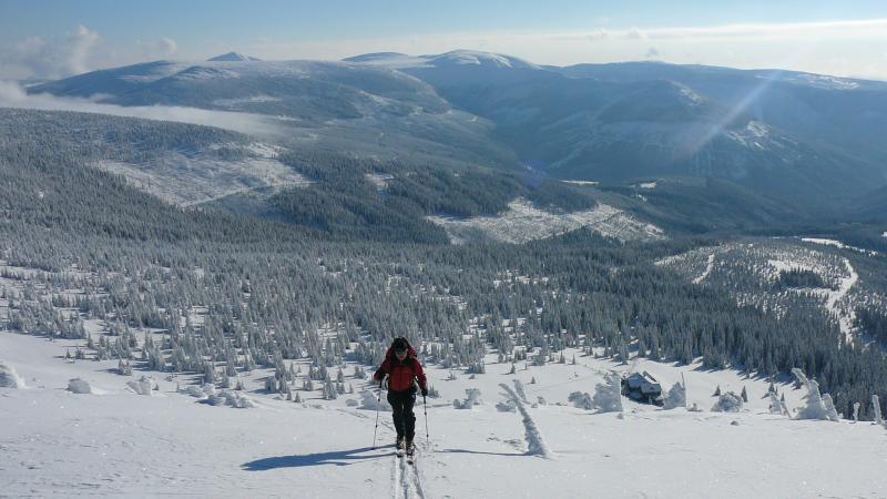 navelkekolo.jpg