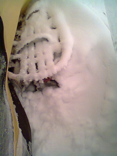 foto0911.jpg