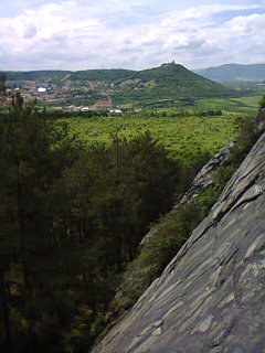 1297.jpg