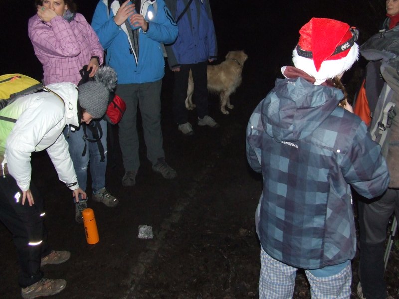 DSCF8233.jpg