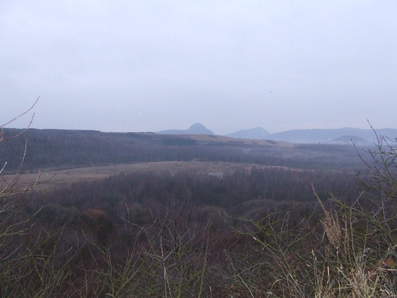 DSCF8239.jpg
