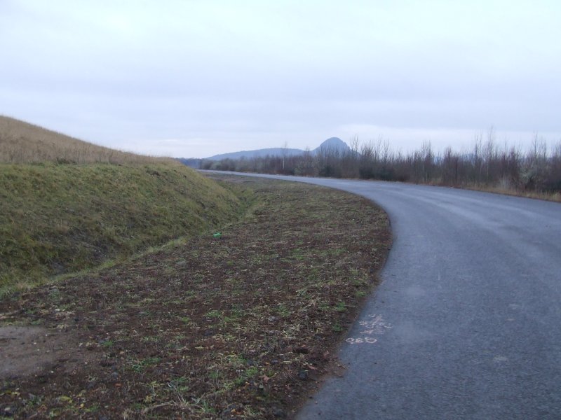 DSCF8242.jpg