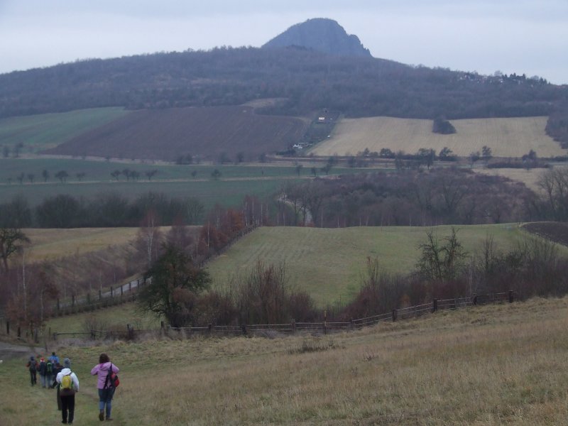 DSCF8250.jpg