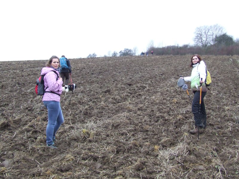 DSCF8251.jpg
