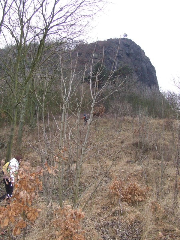 DSCF8253.jpg