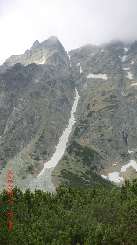 cervenyzleb.jpg