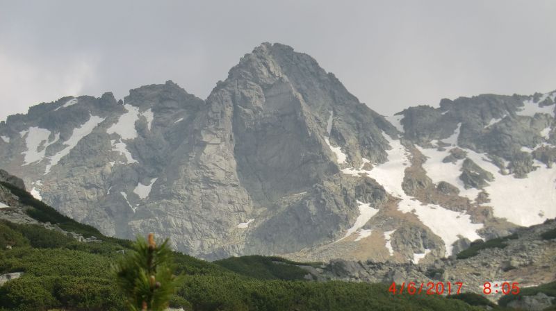 volovaveza.jpg