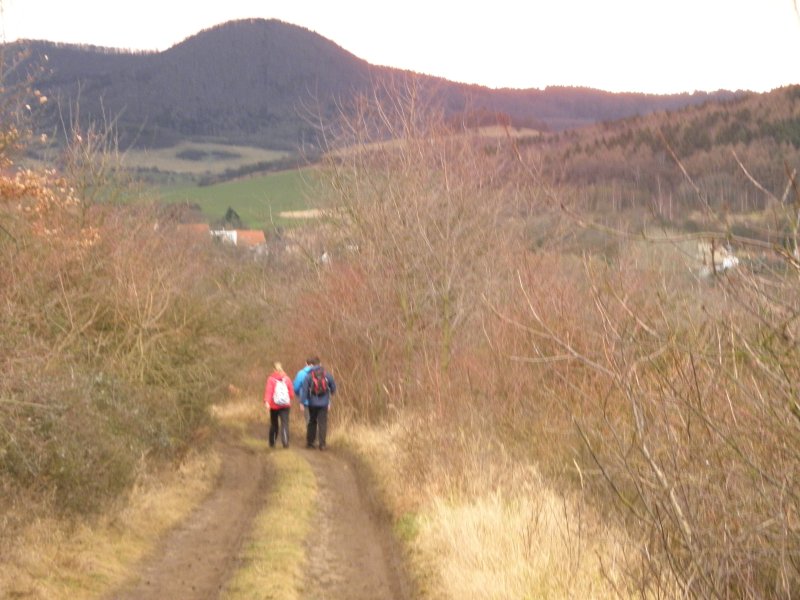 P1010009.jpg