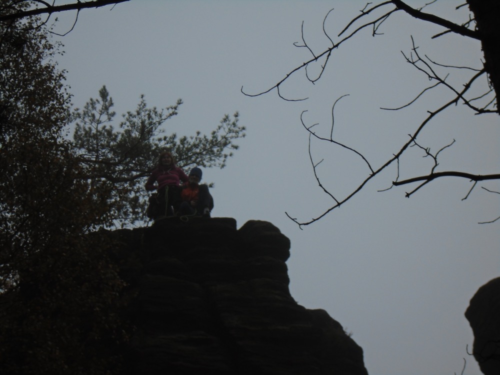 DSC02490.jpg