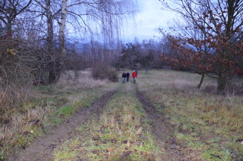 DSC_0007.jpg