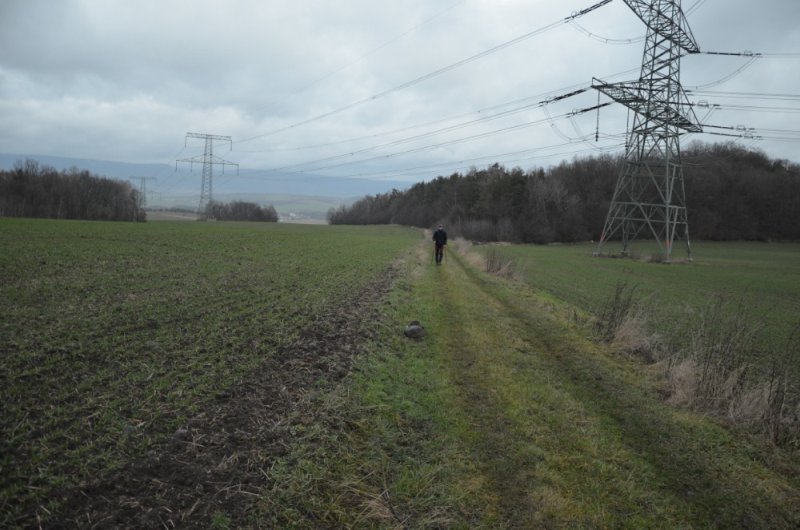 DSC_0012.jpg