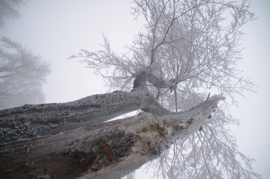IMGP0902.jpg