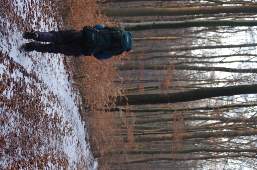 IMGP0994.jpg
