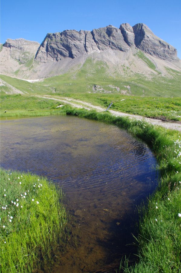 IMGP1899.jpg