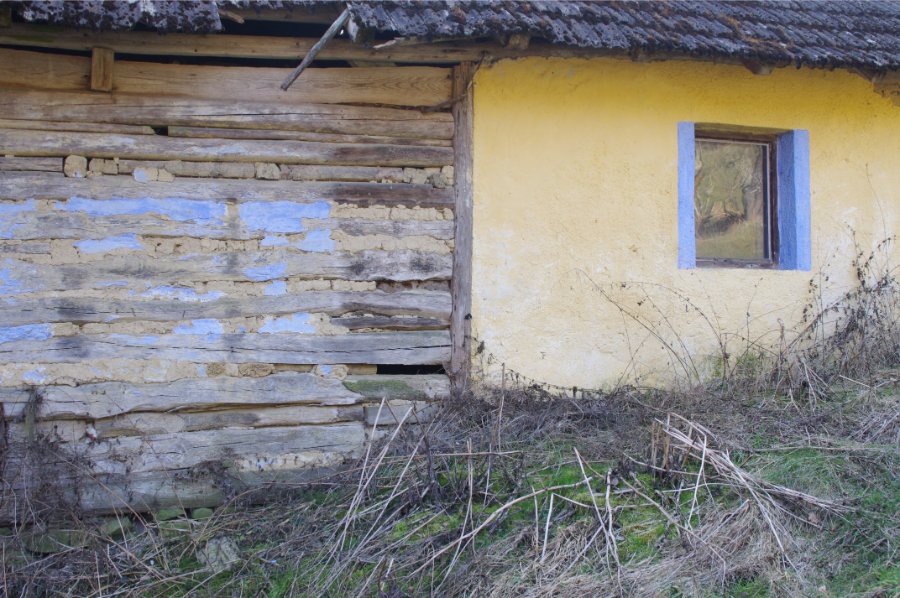 IMGP1683.jpg
