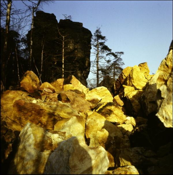 File0078.jpg