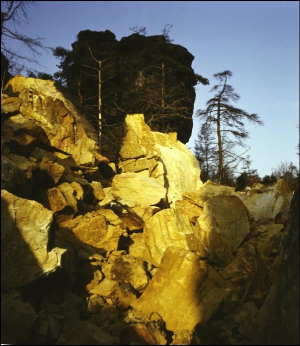 File0080.jpg